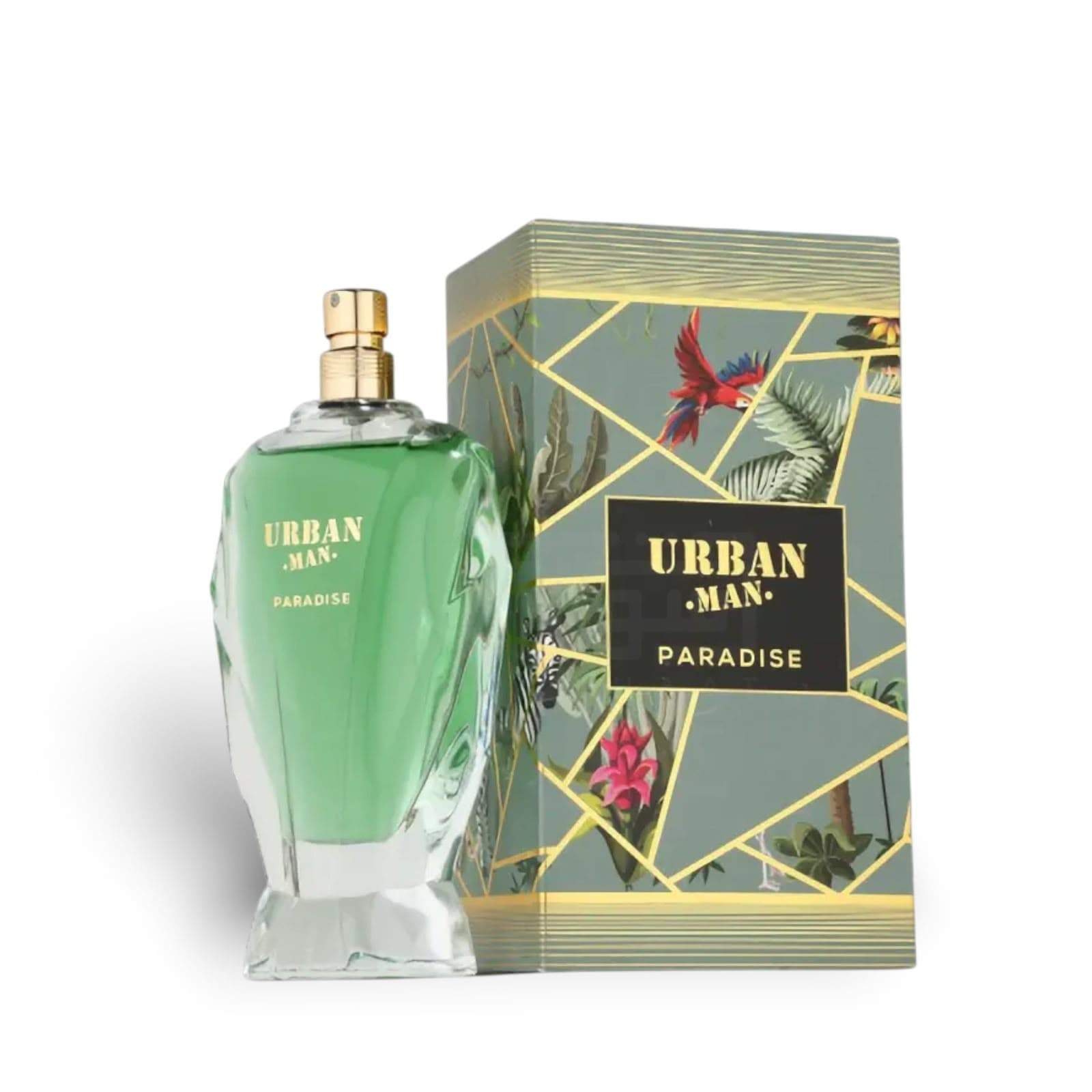 Urban Man Paradise
